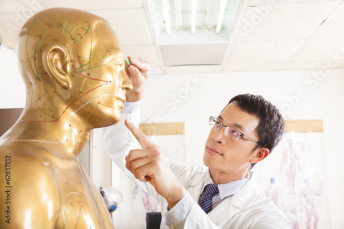 Fotografie chinese medicine doctor point  acupoint on human model