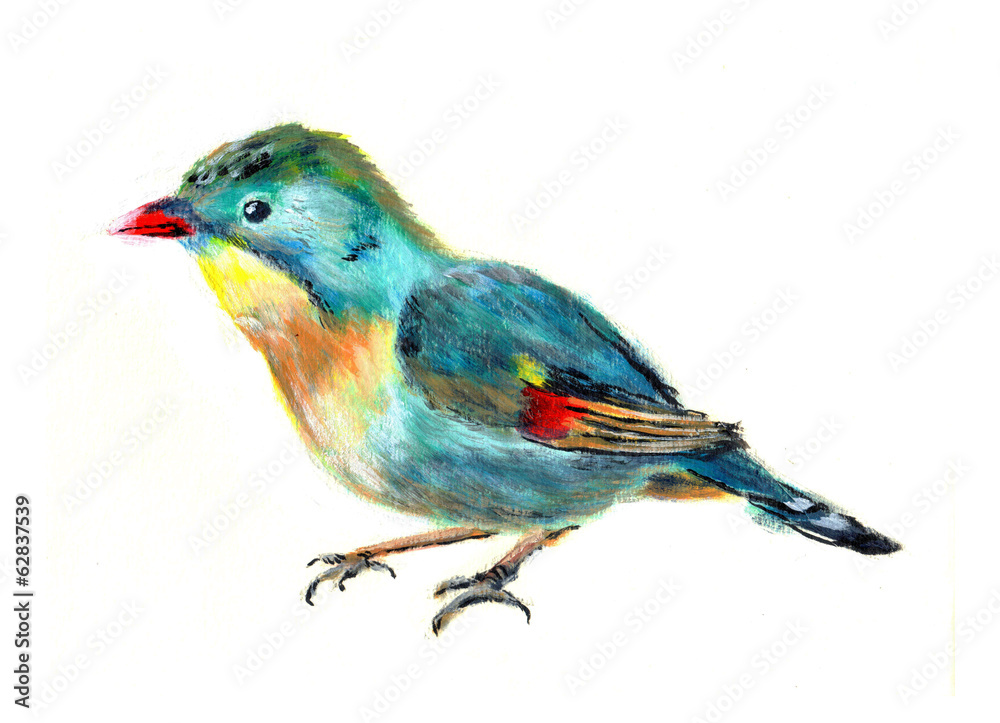 Fototapeta premium oil painting bird