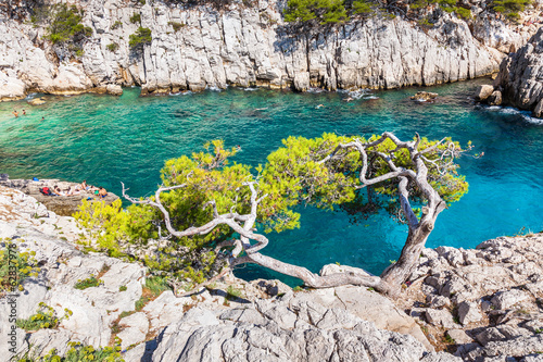 Calanques near Marseille and Cassis in south of France.jpg photo