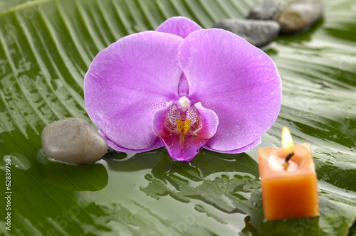 flower with row of stones on banana leaf