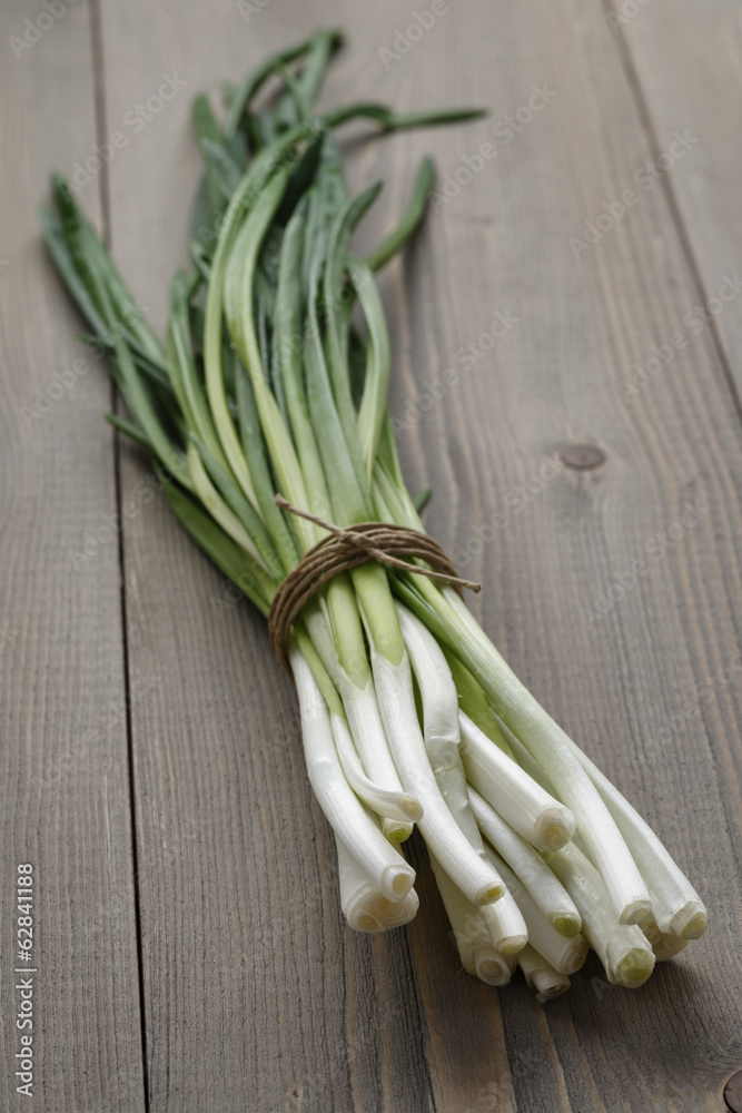 bunch of fresh green onions