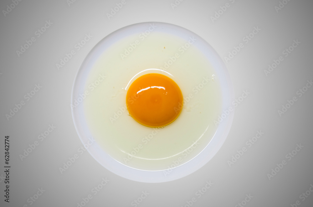 Egg yolk Egg yolk