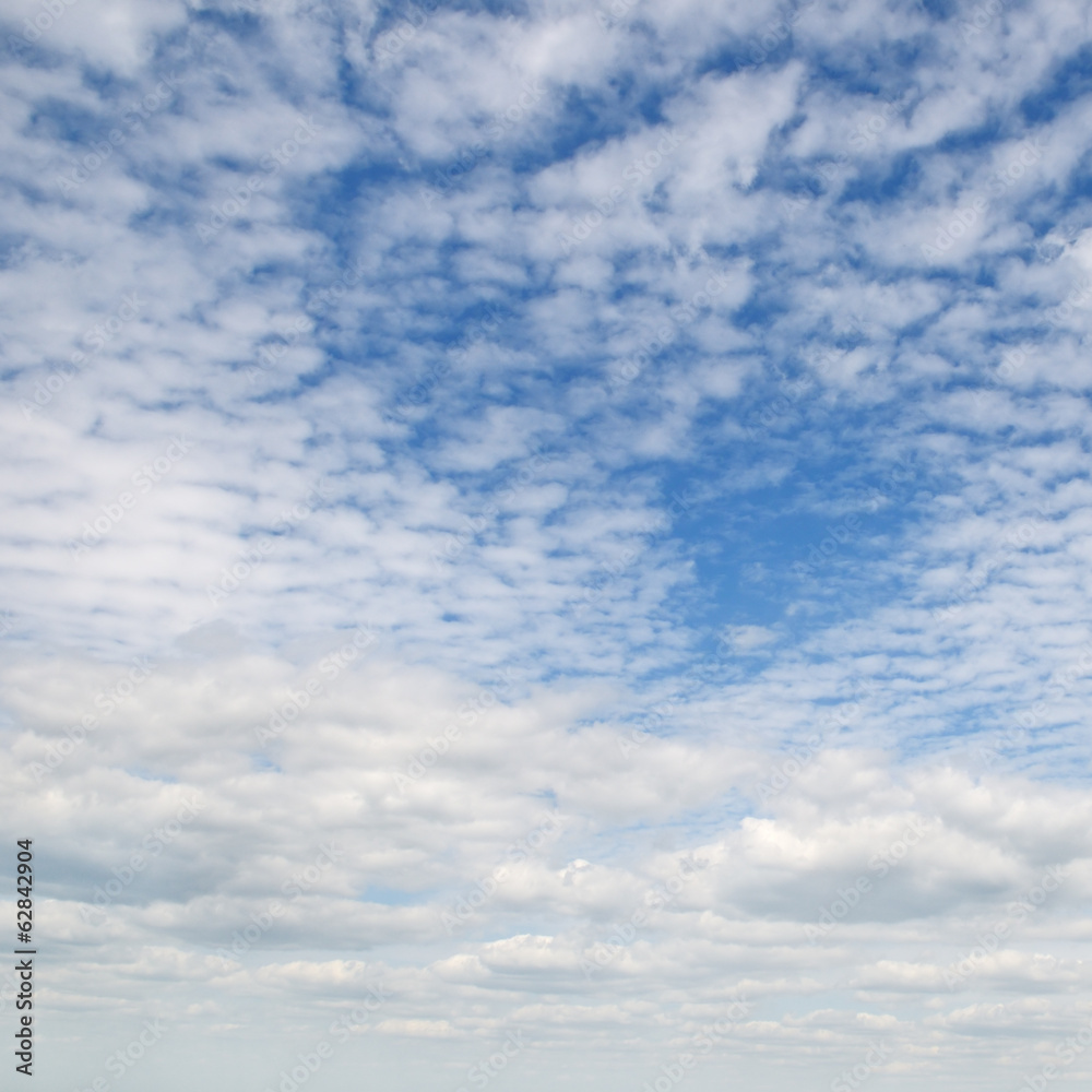 clouds in the blue sky clouds in the blue sky