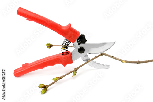 secateurs isolated on white background
