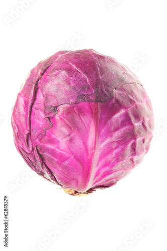 One ripe red cabbage