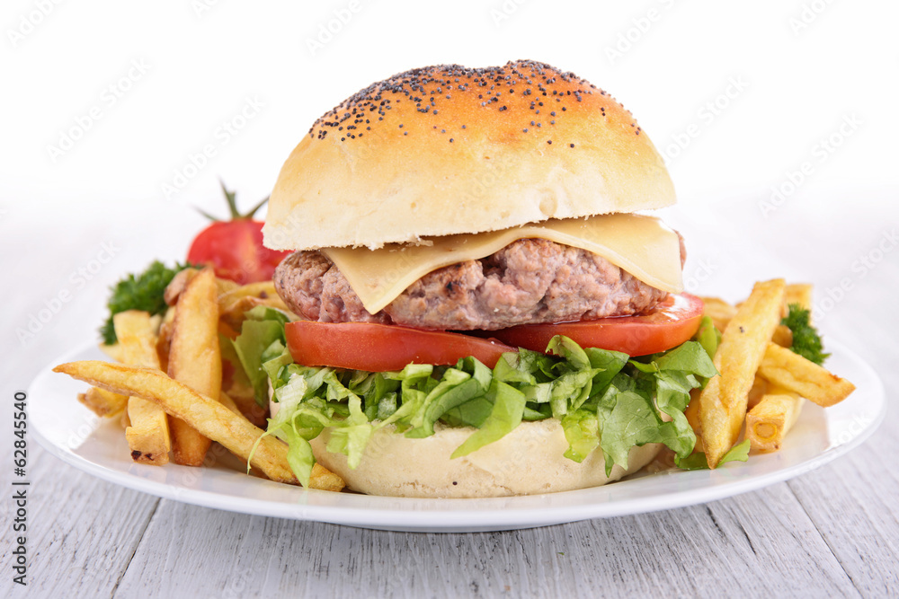 hamburger and fries hamburger and fries