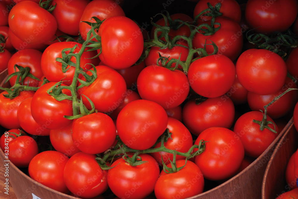 tomato tomatoes