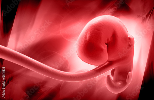 Slika na platnu embryonic