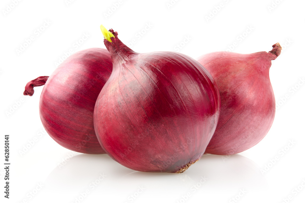 Red Onion Bulbs Isolated on White Background Red Onion Bulbs Isolated on White Background