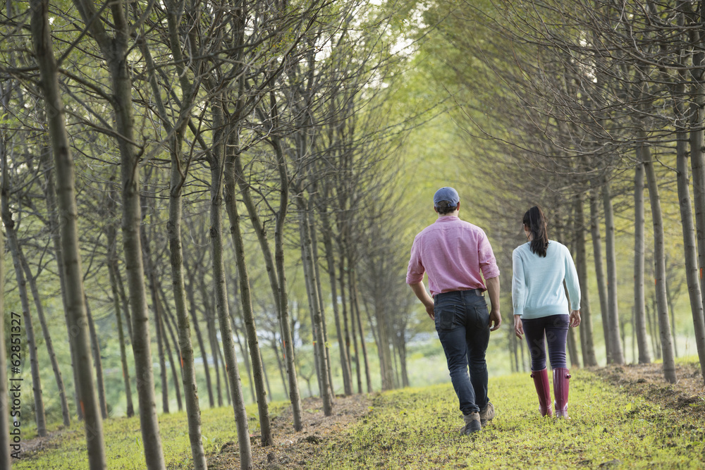 A couple walking between two rows of trees. A couple walking between two rows of trees.