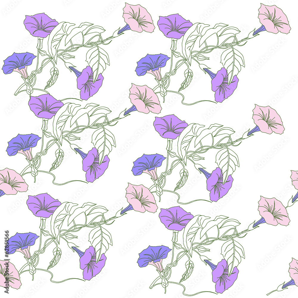 Seamless pattern with blue  pink bindweed. Vector illustration