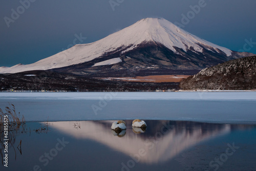 A pair of mute swans in Lake Kawaguchi in the reflection of Mt. Fuji, Japan photo