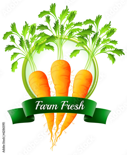 Fresh carrots with a farm fresh label