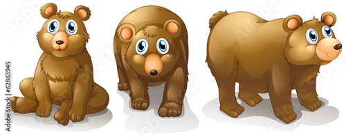Three brown bears