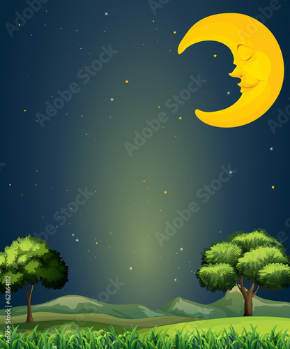 A bright sky with a sleeping moon