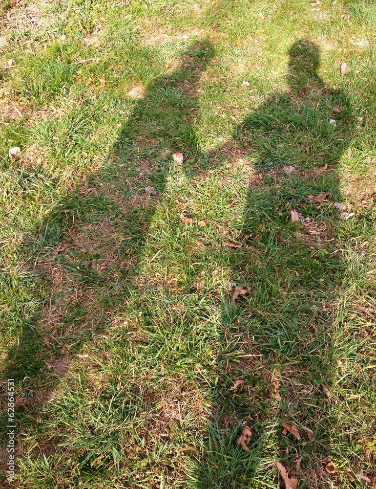 Obraz premium Schatten Pärchen