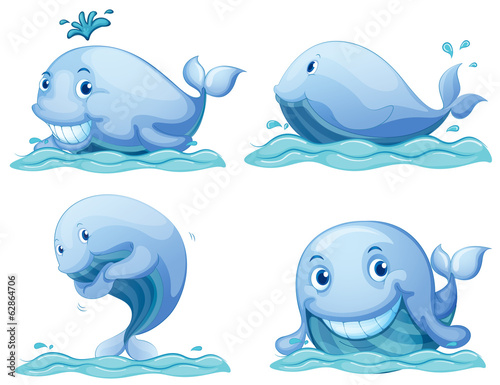 Blue whales