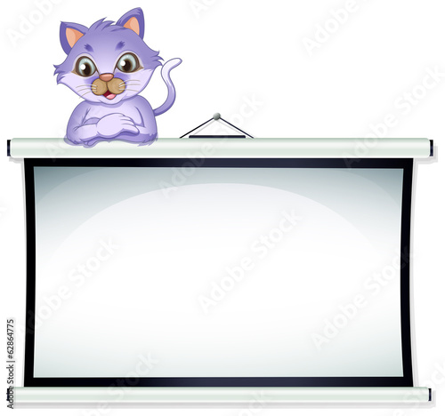 An empty whiteboard with a cat