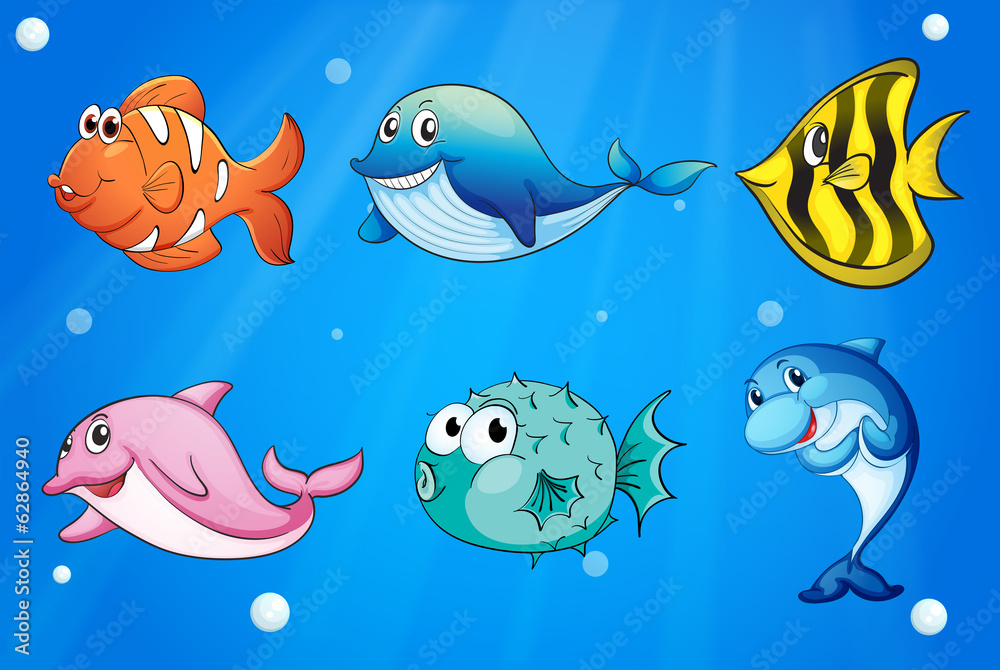 Colorful and smiling fishes under the sea Colorful and smiling fishes under the sea