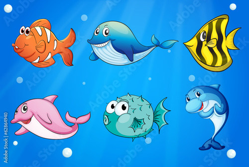 Colorful and smiling fishes under the sea