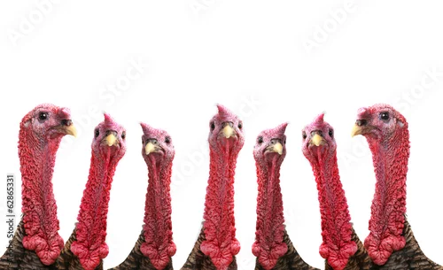 Fototapeta samoprzylepna Turkey