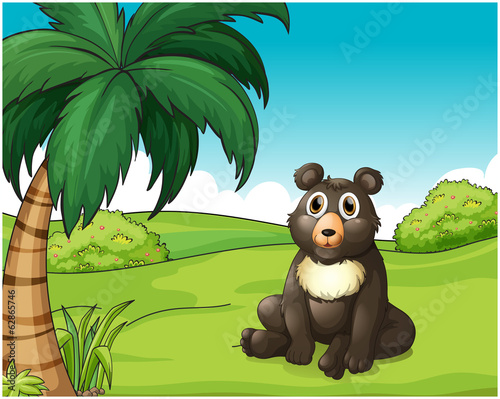 A cute fat bear at the hills