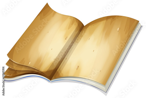 An old book