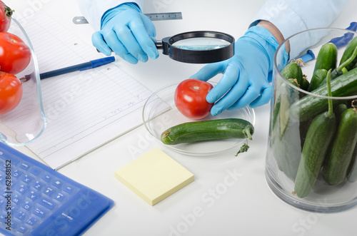 Tomato inspected in phytocontrol laboratory photo