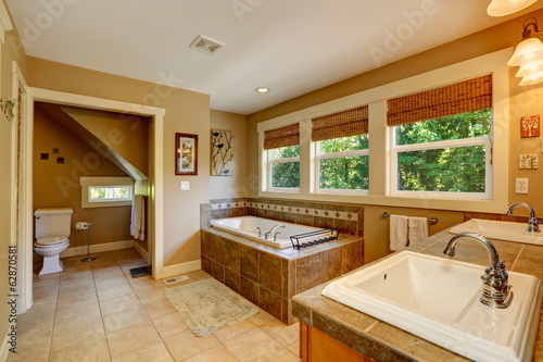 Beautirul bathroom with windows