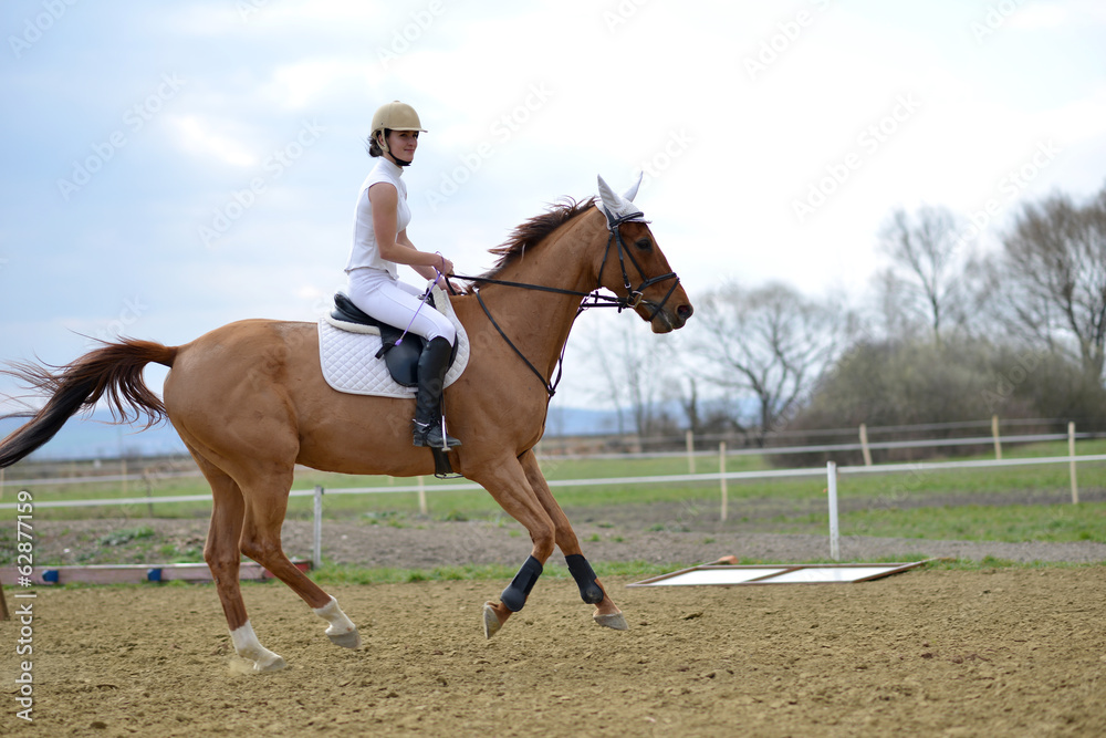 Belle jeune fille avec un cheval Belle jeune fille avec un cheval