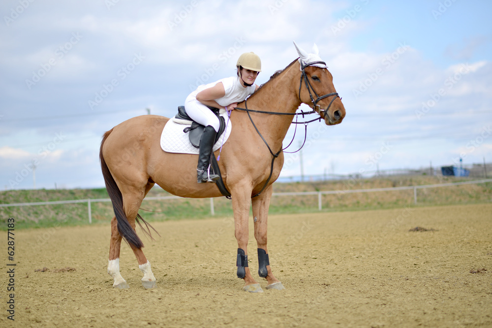 horse jumping