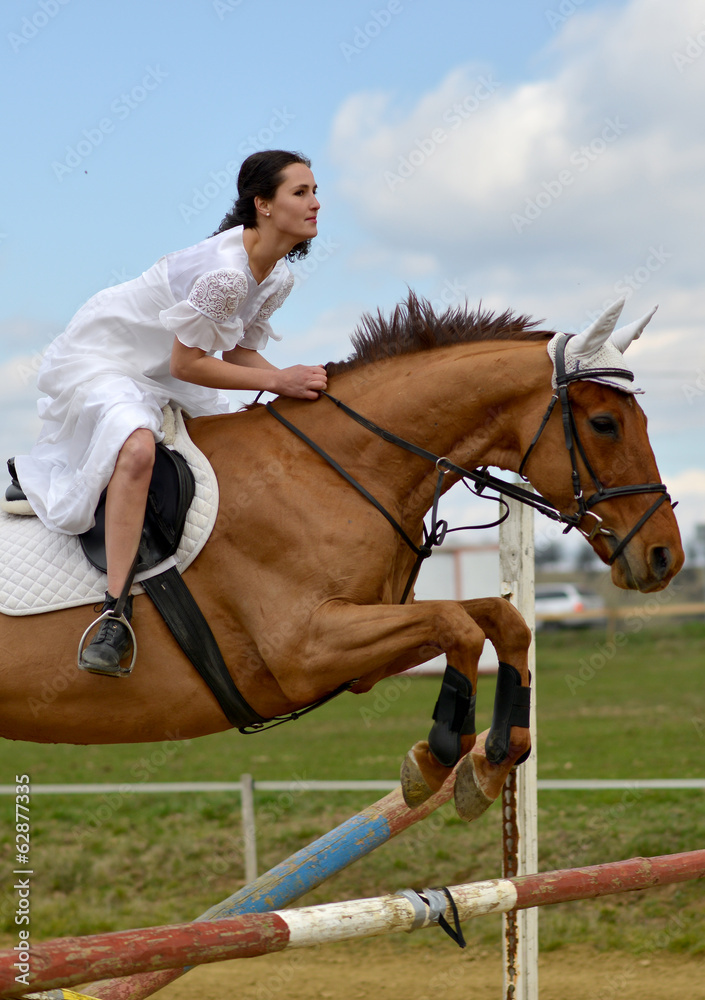 horse jumping horse jumping