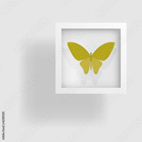 butterfly in the picture and its reflection