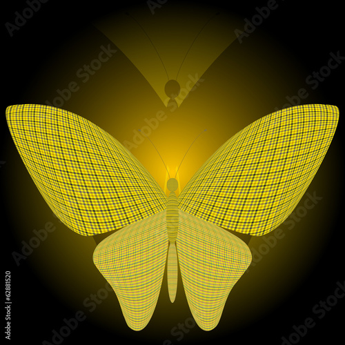 butterfly