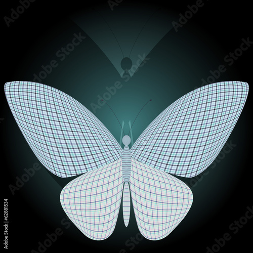 butterfly