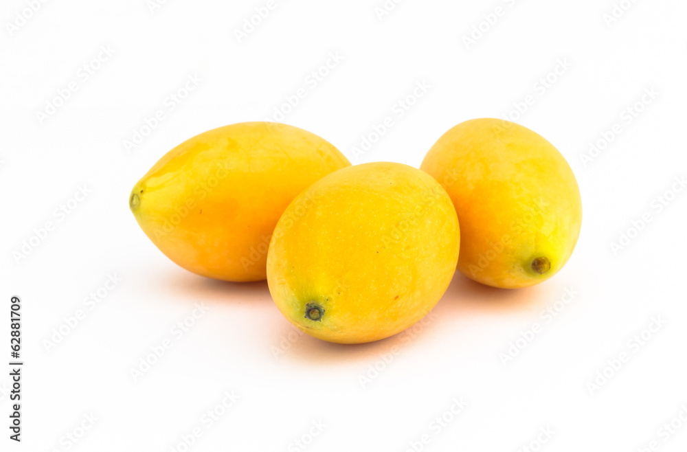 Marian Plums isolated on the white background Marian Plums isolated on the white background