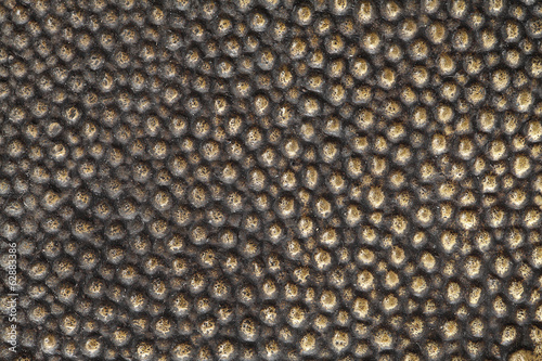 Bronze texture