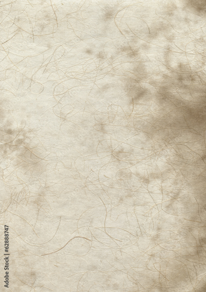Fototapeta premium Old parchment paper texture