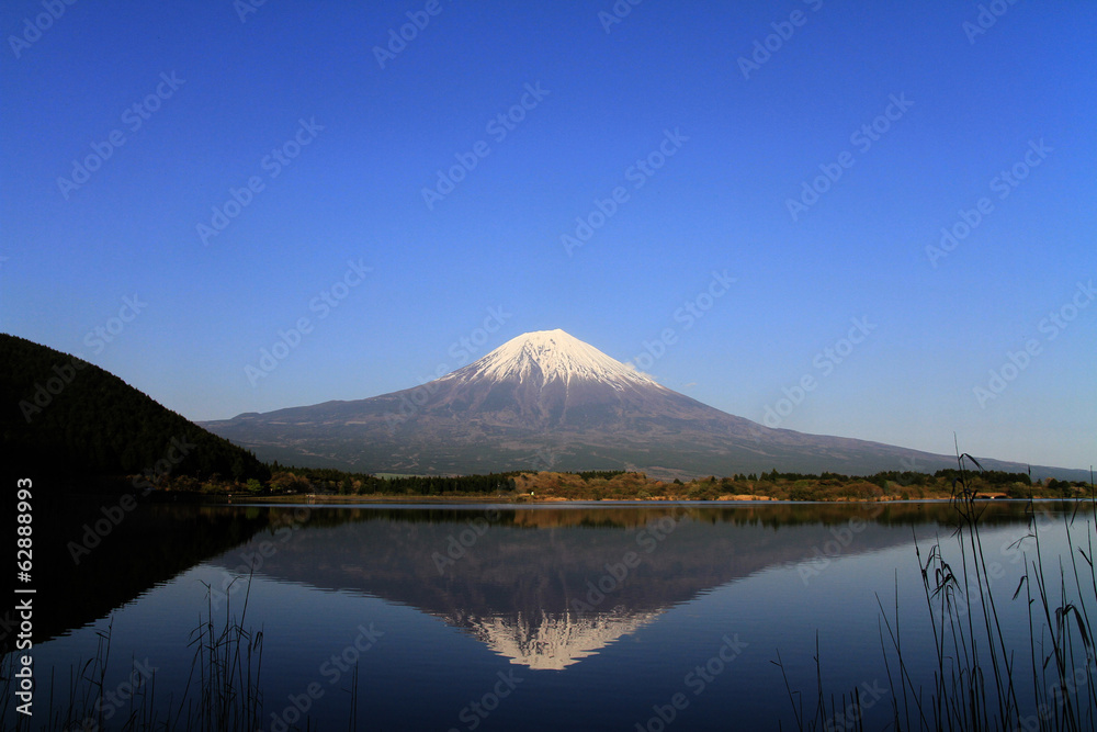 田貫湖からの富士山