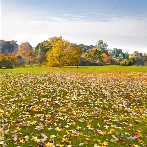Wallpaper Mural Autumn Landscape. Torontodigital.ca