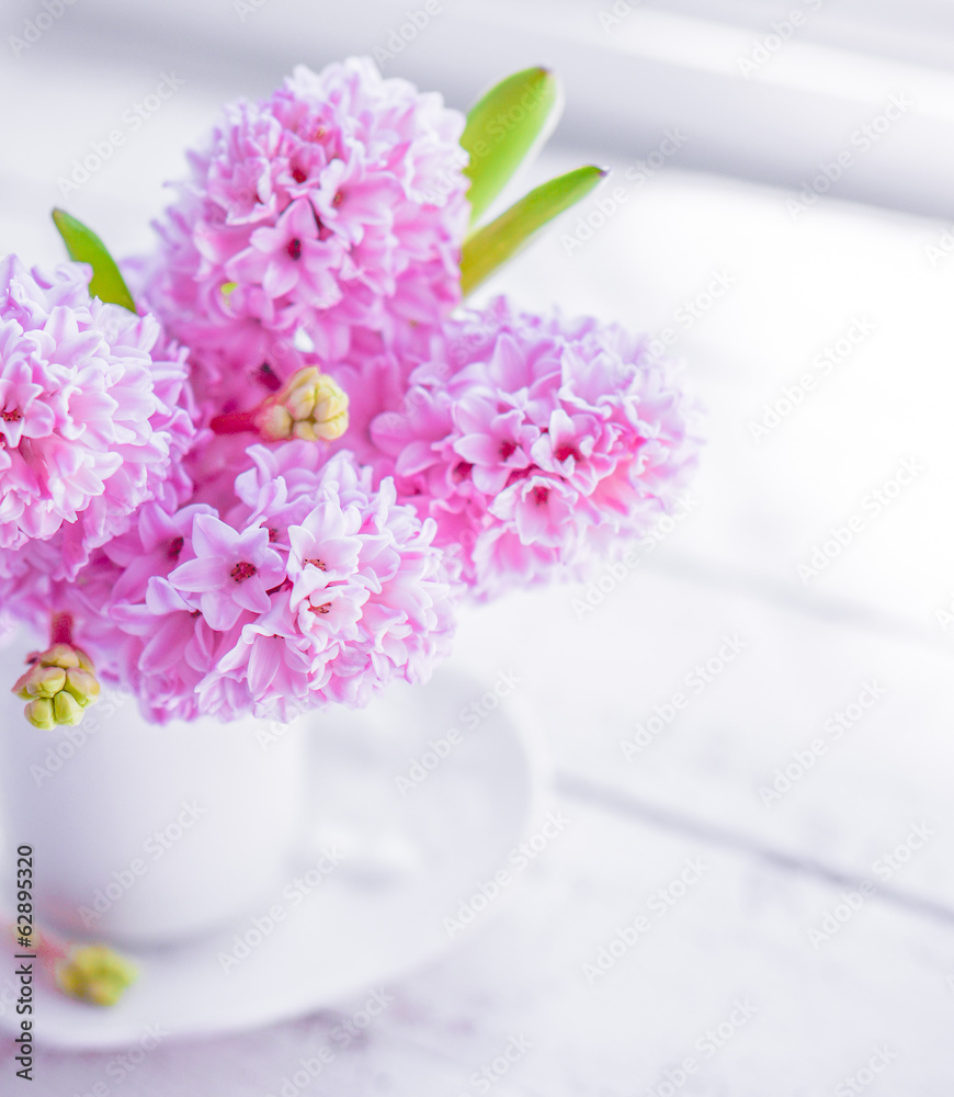 Pink  hyacinths in white vase on white background