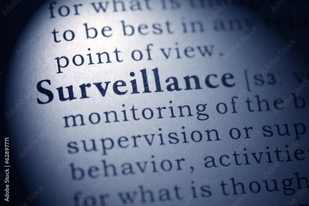 Obraz premium Surveillance