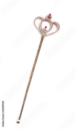 Quadro su tela plastic toy wand isolated