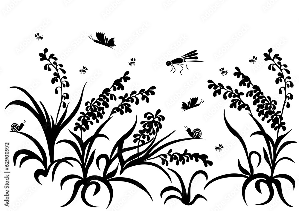 Silhouette of grass, flowers, insect isolated