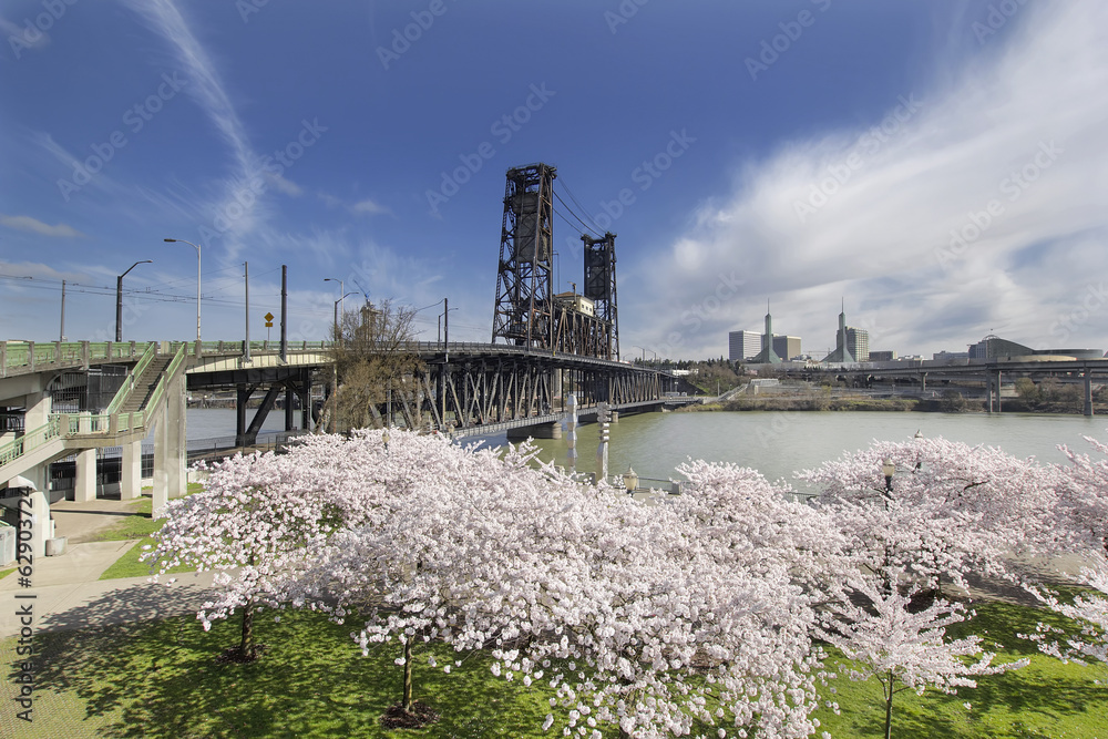 Obraz premium Cherry Blossoms at Portland Waterfront
