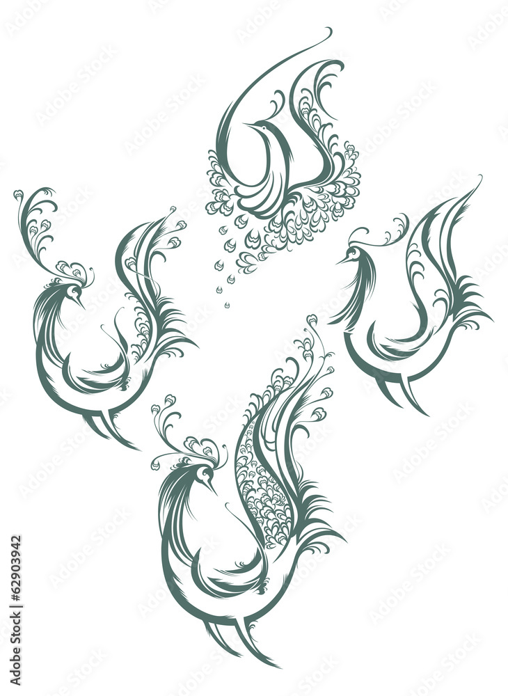Four birds silhouette. Four birds silhouette.