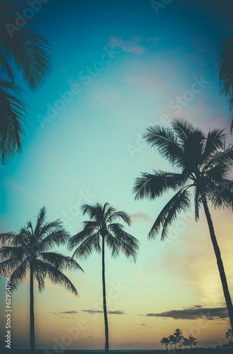 Hawaii Retro Sunset Palm Trees © Mr Doomits
