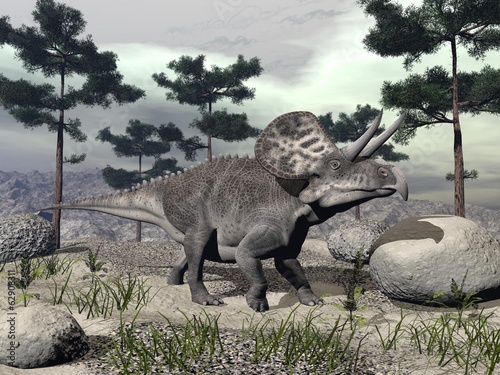 Zuniceratops dinosaur - 3D render photo