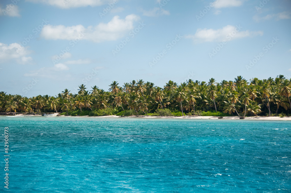 Wonderful palm coastline of Saona Island, Caribbean