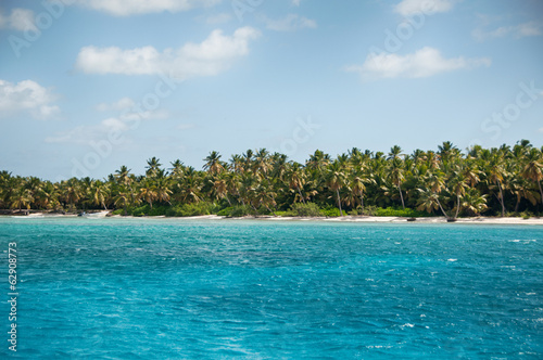 Wonderful palm coastline of Saona Island, Caribbean © XtravaganT